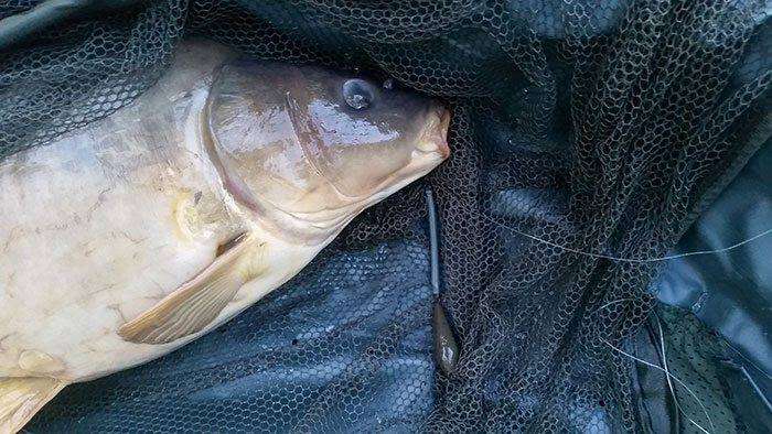 Downforce Tungsten - Heli-Chod Buffer Hoods (3pcs)