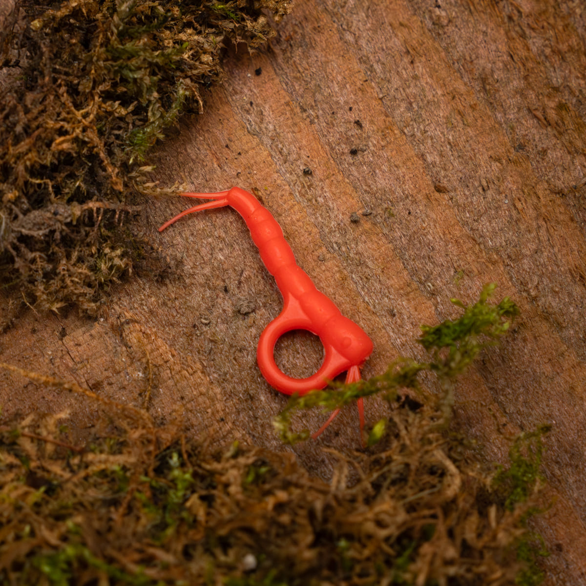 Snail-aligner Zig Kits